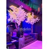 درخت شکوفه برای بزرگترین باشگاه گیمینگ ایران
